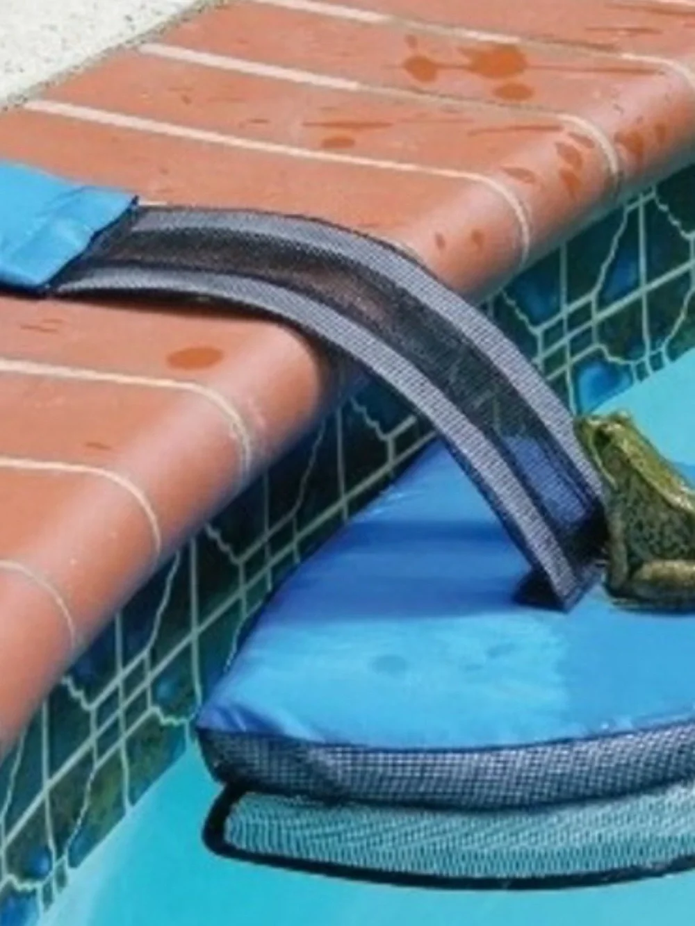 Pool Escape Ramp for Frogs,squirrels